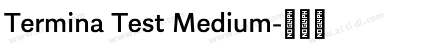 Termina Test Medium字体转换
